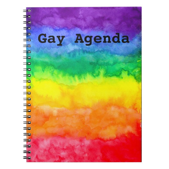 Gay Agenda Rainbow Wash Notebook (Front)