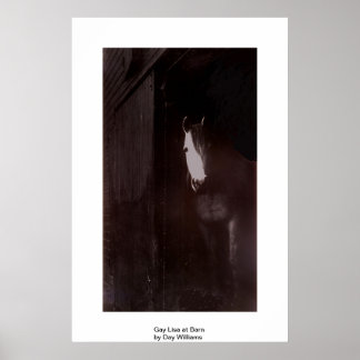 Gay Lisa in Barn Poster