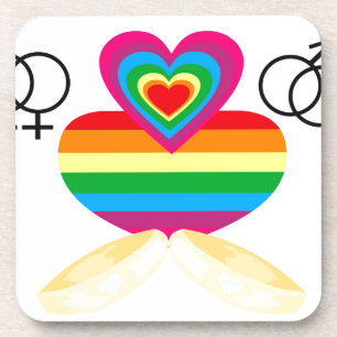 gay marriage coaster