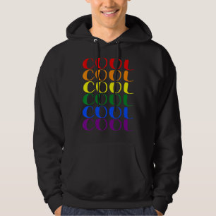 Gay Pride Cool Lgbt Rainbow Flag Lesbian Bisexual Hoodie