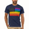 Gay Pride Flag