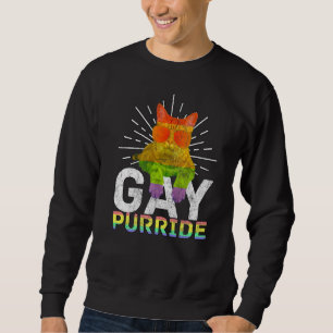 Gay Pride Lgbt Bisexual Boys Men Gay Purride Sweatshirt