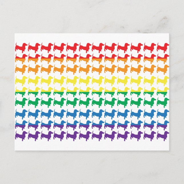 Gay Pride Rainbow Dachshunds Postcard (Front)