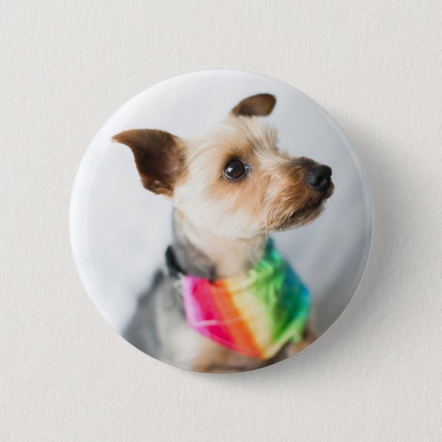 Gay Pride Rainbow Dog | Yorkshire Terrier 2 Inch Round Button (Front)