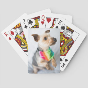 Gay Pride Rainbow Dog   Yorkshire Terrier Playing Cards