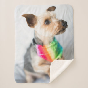 Gay Pride Rainbow Dog Yorkshire Terrier Sherpa Blanket
