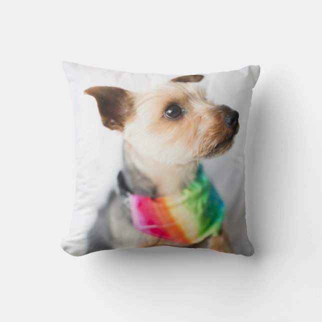 Gay Pride Rainbow Dog | Yorkshire Terrier Throw Pillow (Front)