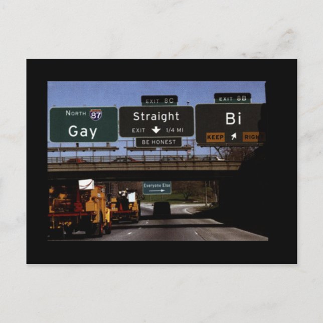Gay/Straight/Bi Road Signs Postcard (Front)