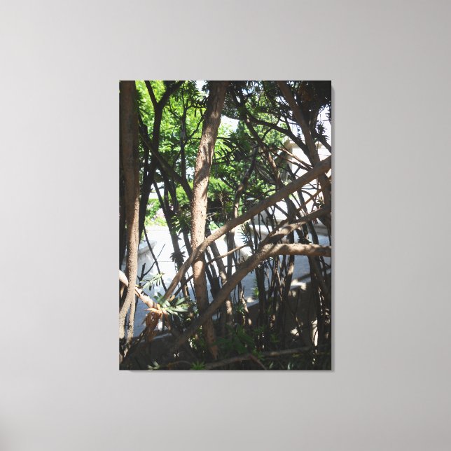 “Gaye Elise Beda”, “New York City, NYC” Gramercy P Canvas Print (Front)