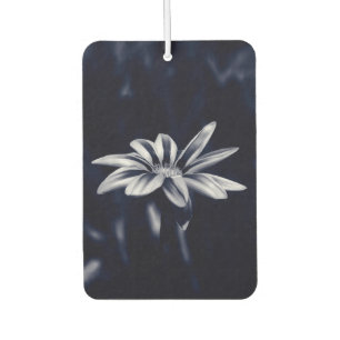 gazania air freshener