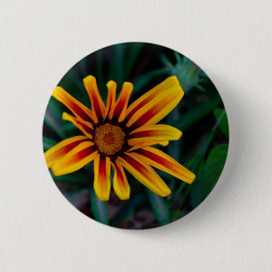 Gazania flower 2 inch round button