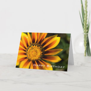 Gazania   Happy Birthday Card