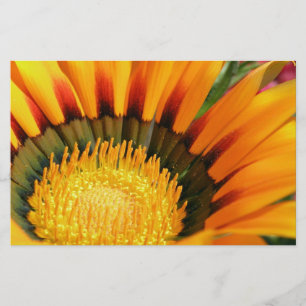 Gazania Stationery