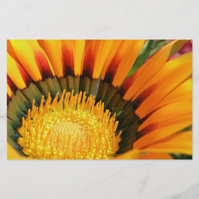 Gazania Stationery (Front)