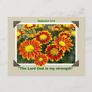 GAZANIAS  Postcard