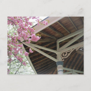 Gazebo- Bellefonte, Pennsylvania Postcard