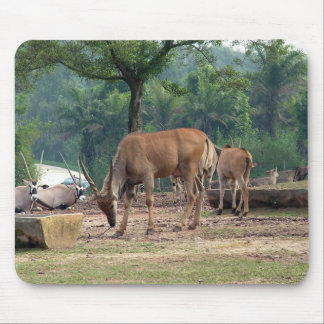 Gazelle,瞪羚 Mouse Pad