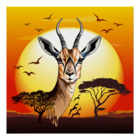 Gazelle African Antelope Wild  Animal