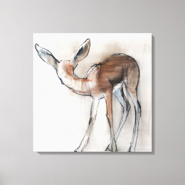Gazelle Fawn Canvas Print (Front)