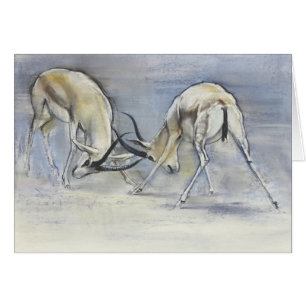 Gazelles de sable 2009 3