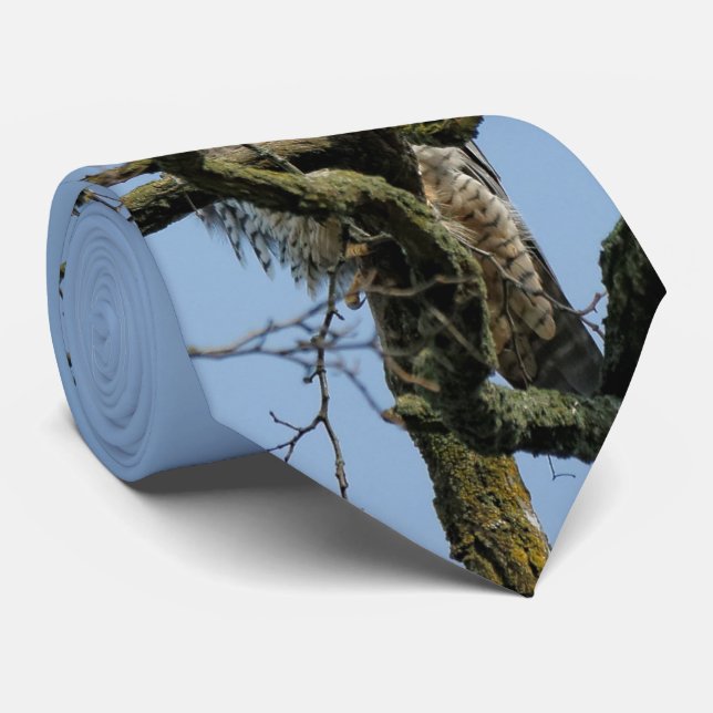 Gazing at a Majestic Peregrine Falcon Tie (Rolled)