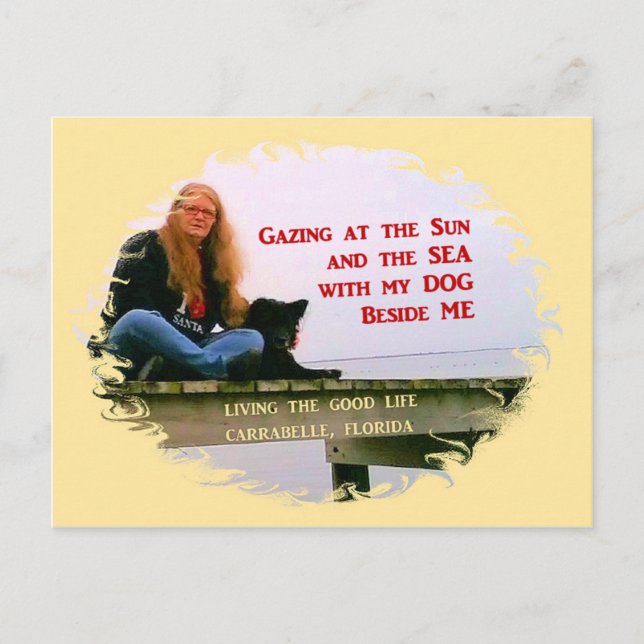 Gazing At The Sun Postcard (Front)
