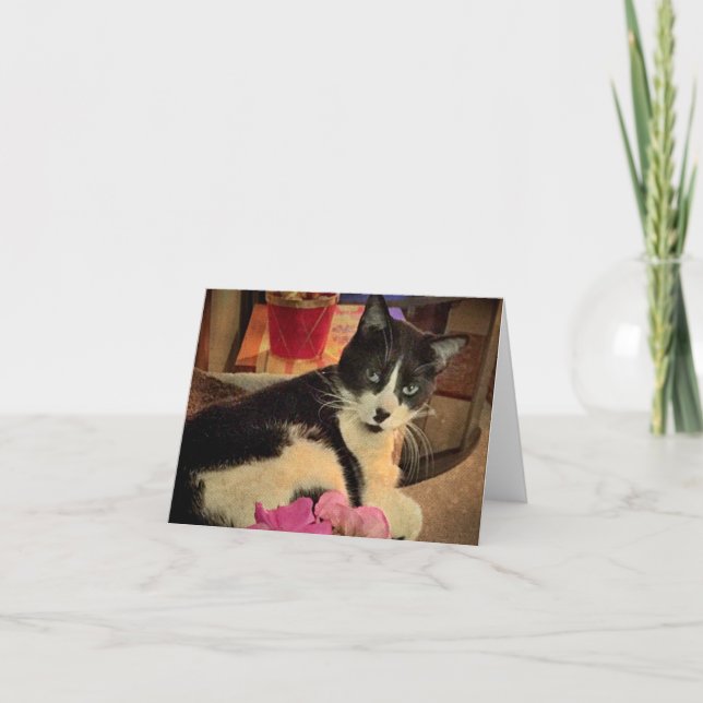 Gazing Lazily  (a blank note card) Card (Front)