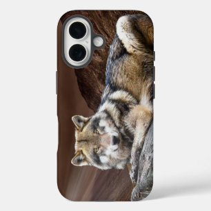 Gazing Wolf Apple iPhone 16 Case