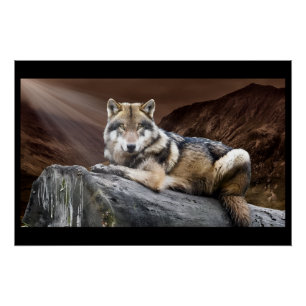 Gazing Wolf Poster