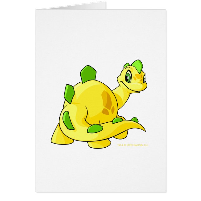 Gazing yellow Chomby (Front)