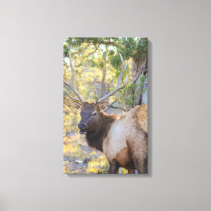 GC CANVAS PRINT