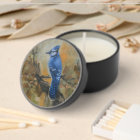 Geai bleu "Jaybird" [original] par Jason Street