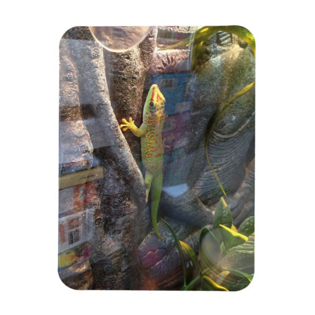 Géant Day Gecko Magnet (Vertical)