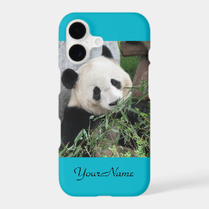 Géant Panda Mignon, Bleu, Nom,