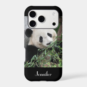 Géant Panda Mignon, Fond Noir, Nom Personnalisé