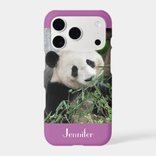 Géant Panda Mignon, Violet, Orchidée Radiante, Per