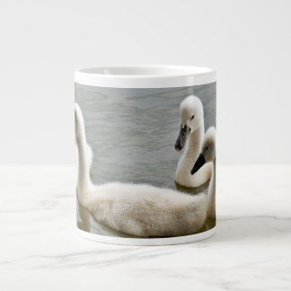 Géante cygnes dans la tasse de l'eau