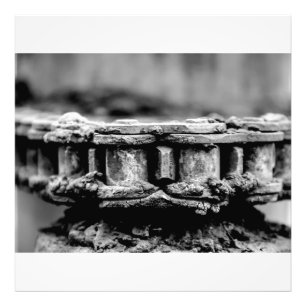 Geared photo print