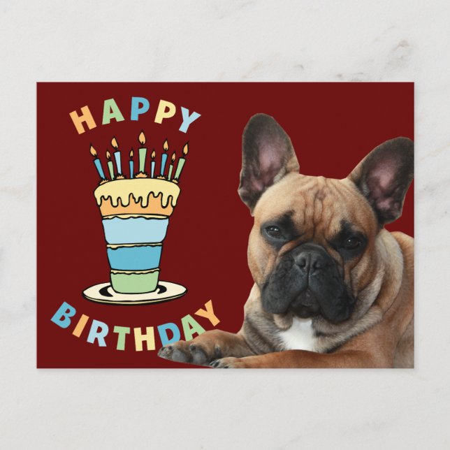 Geburtstagskarte französische Bulldogge Postkarte Postcard (Front)