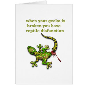 Gecko