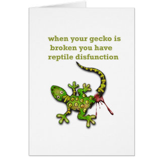 Gecko