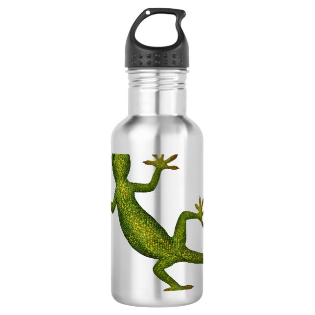 Gecko 710 Ml Water Bottle (Front)