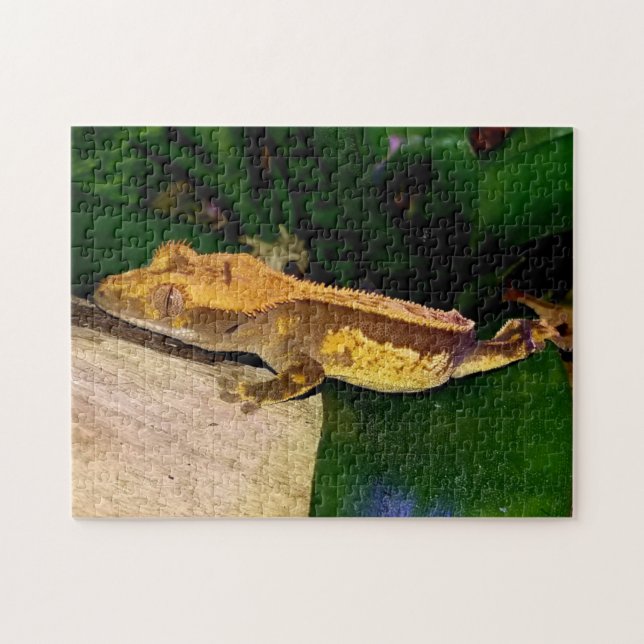 Gecko arrêté sur un puzzle de feuilles (Horizontal)