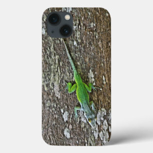 Gecko case