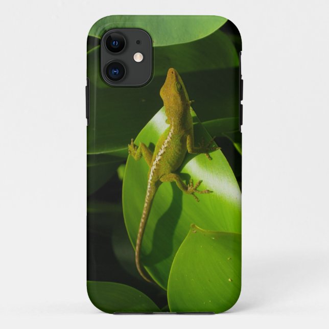 Gecko Case-Mate iPhone Case (Back)