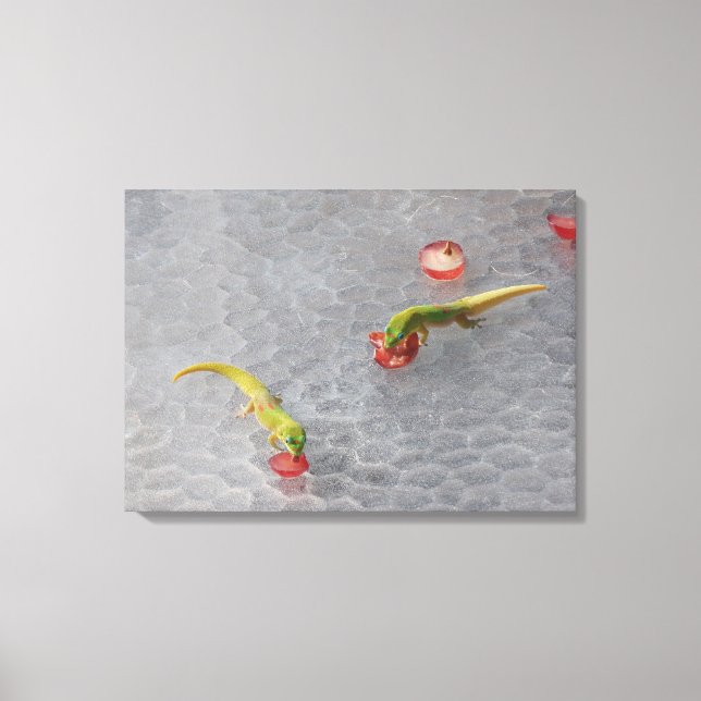 Gecko cocktail hour two piece canvas set (Front)
