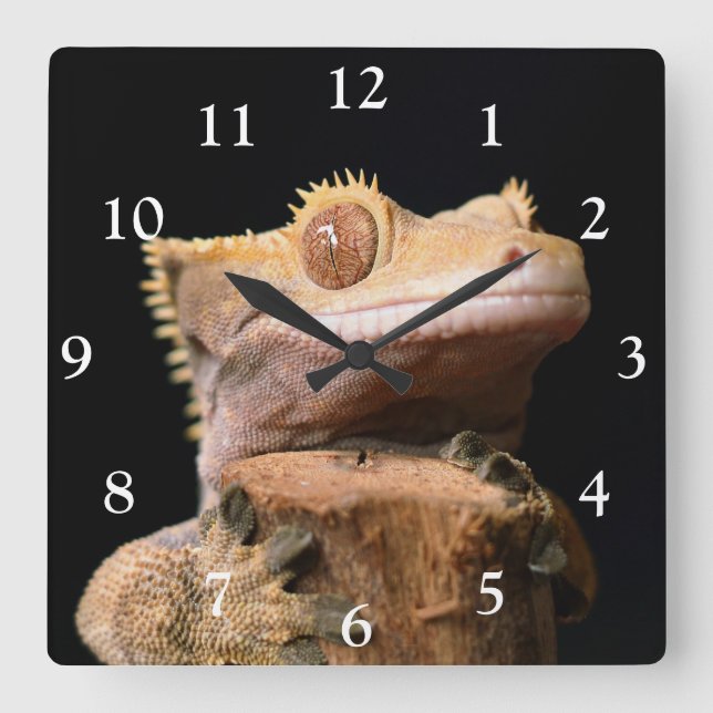 Gecko en crête sur Black Large Horloge (Recto)