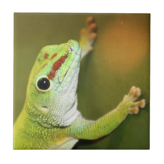 Gecko face tile