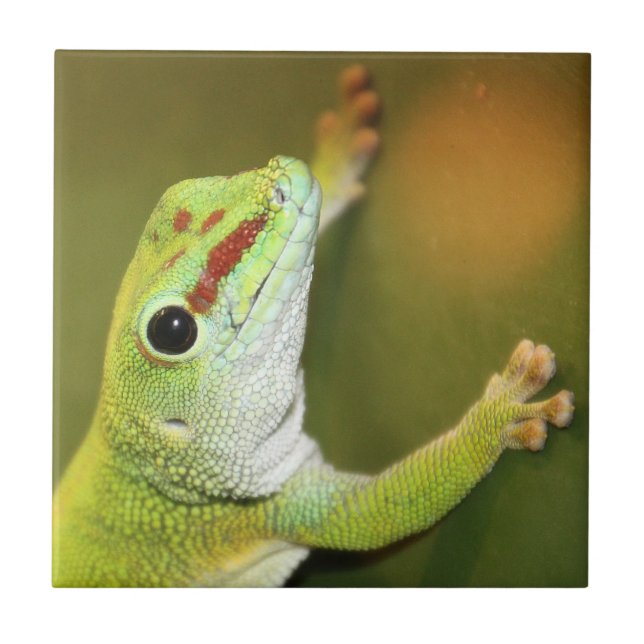 Gecko face tile (Front)