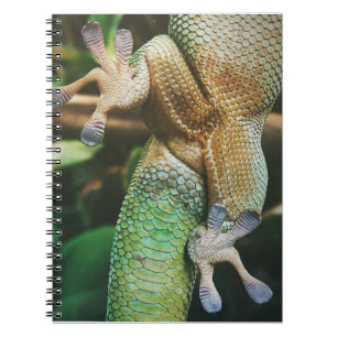 Gecko Feet Notebook